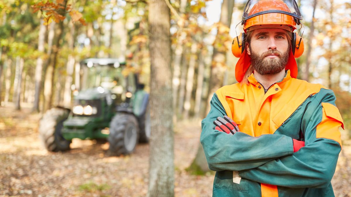 Read more about the article Top Forestry Organisations and Companies in Australia