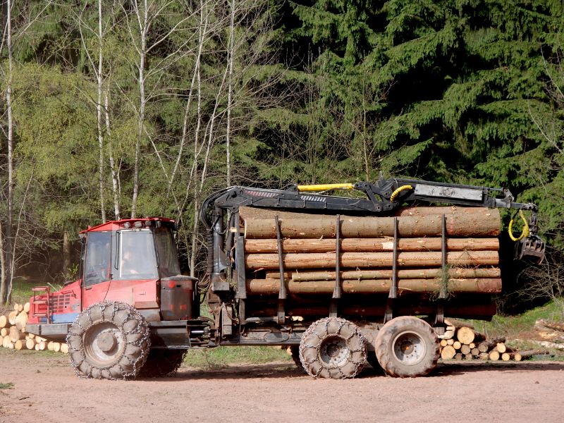 Forestry machinery - Forwarder