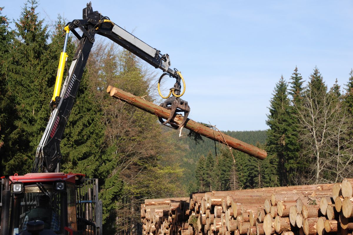 You are currently viewing Types of Forestry Equipment